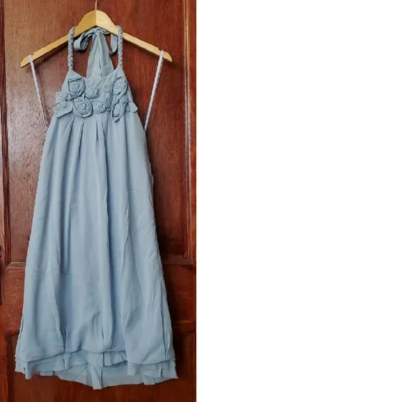 BCBG MaxAzria Silk Chiffon Woven Dress (Size 12)